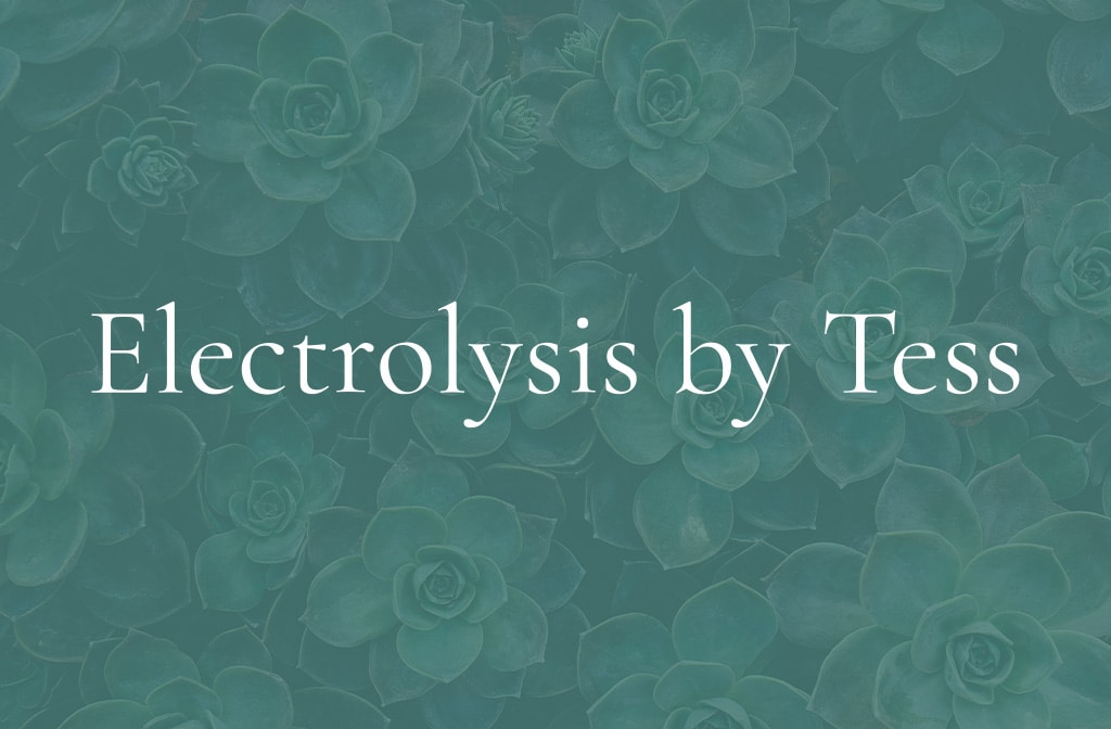 Electrolysis By Tess project image